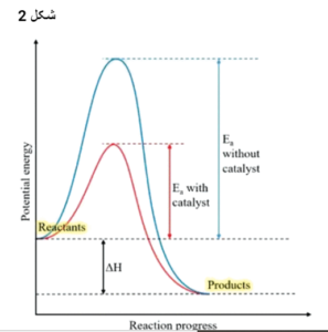 نمودار انرژی پتانسیل یک واکنش شیمیایی در حضور و عدم حضور کاتالیزور.